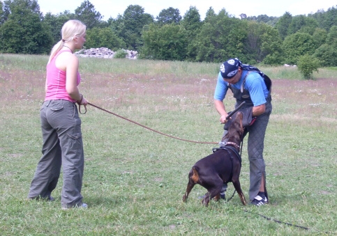 Training in Estonia 6/2007